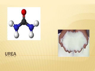 UREA
 