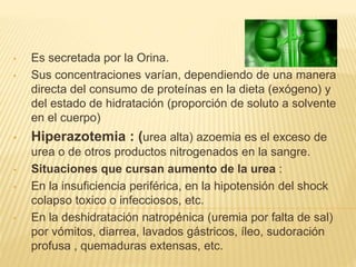 • Es secretada por la Orina.
• Sus concentraciones varían, dependiendo de una manera
directa del consumo de proteínas en la dieta (exógeno) y
del estado de hidratación (proporción de soluto a solvente
en el cuerpo)
• Hiperazotemia : (urea alta) azoemia es el exceso de
urea o de otros productos nitrogenados en la sangre.
• Situaciones que cursan aumento de la urea :
• En la insuficiencia periférica, en la hipotensión del shock
colapso toxico o infecciosos, etc.
• En la deshidratación natropénica (uremia por falta de sal)
por vómitos, diarrea, lavados gástricos, íleo, sudoración
profusa , quemaduras extensas, etc.
 