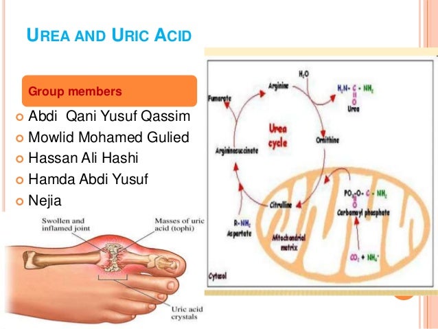 Normal Uric Acid Level Chart