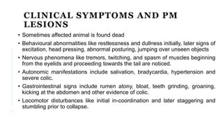 CLINICAL SYMPTOMS AND PM
LESIONS
• Sometimes affected animal is found dead
• Behavioural abnormalities like restlessness and dullness initially, later signs of
excitation, head pressing, abnormal posturing, jumping over unseen objects
• Nervous phenomena like tremors, twitching, and spasm of muscles beginning
from the eyelids and proceeding towards the tail are noticed.
• Autonomic manifestations include salivation, bradycardia, hypertension and
severe colic.
• Gastrointestinal signs include rumen atony, bloat, teeth grinding, groaning,
kicking at the abdomen and other evidence of colic.
• Locomotor disturbances like initial in-coordination and later staggering and
stumbling prior to collapse.
1 1
 