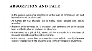 ABSORPTION AND FATE
• In the rumen, ammonia liberated is in the form of ammonium ion and
hence it cannot be absorbed.
• At rumen pH 6.2 charged ion is highly water soluble and poorly
absorbed.
• If rumen pH is elevated to 10 or above, then ammonia will be in soluble
form and lacks charge and can be absorbed.
• In the blood at a pH of 7.4, almost all the ammonia is in the form of
ions and cannot cross the cell membrane.
• In the normal course, liver ammonia is converted into urea by the urea
cycle or incorporated into glutamic acid in the synthesis of glutamine.
9
 