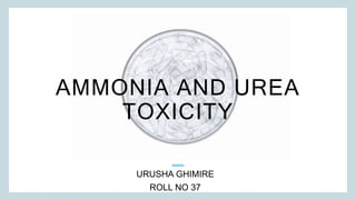 AMMONIA AND UREA
TOXICITY
URUSHA GHIMIRE
ROLL NO 37​
 
