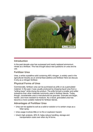 Introduction
In the past decade urea has surpassed and nearly replaced ammonium
nitrate as a fertilizer. This has brought about new questions on urea and its
use.
Fertilizer Urea
Urea, a white crystalline solid containing 46% nitrogen, is widely used in the
agricultural industry as an animal feed additive and fertilizer Here we discuss
it only as a nitrogen fertilizer.
Physical Forms of Urea
Commercially, fertilizer urea can be purchased as prills or as a granulated
material. In the past, it was usually produced by dropping liquid urea from a
"prilling tower" while drying the product. The prills formed a smaller and softer
substance than other materials commonly used in fertilizer blends. Today,
though, considerable urea is manufactured as granules. Granules are larger,
harder, and more resistant to moisture. As a result, granulated urea has
become a more suitable material for fertilizer blends.
Advantages of Fertilizer Urea
▪ Urea can be applied to soil as a solid or solution or to certain crops as a
      foliar spray.
▪ Urea usage involves little or no fire or explosion hazard.
▪ Urea's high analysis, 46% N, helps reduce handling, storage and
      transportation costs over other dry N forms.
 