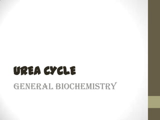 UREA CYCLE
General Biochemistry

 