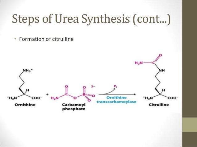 Synthesis of urea image