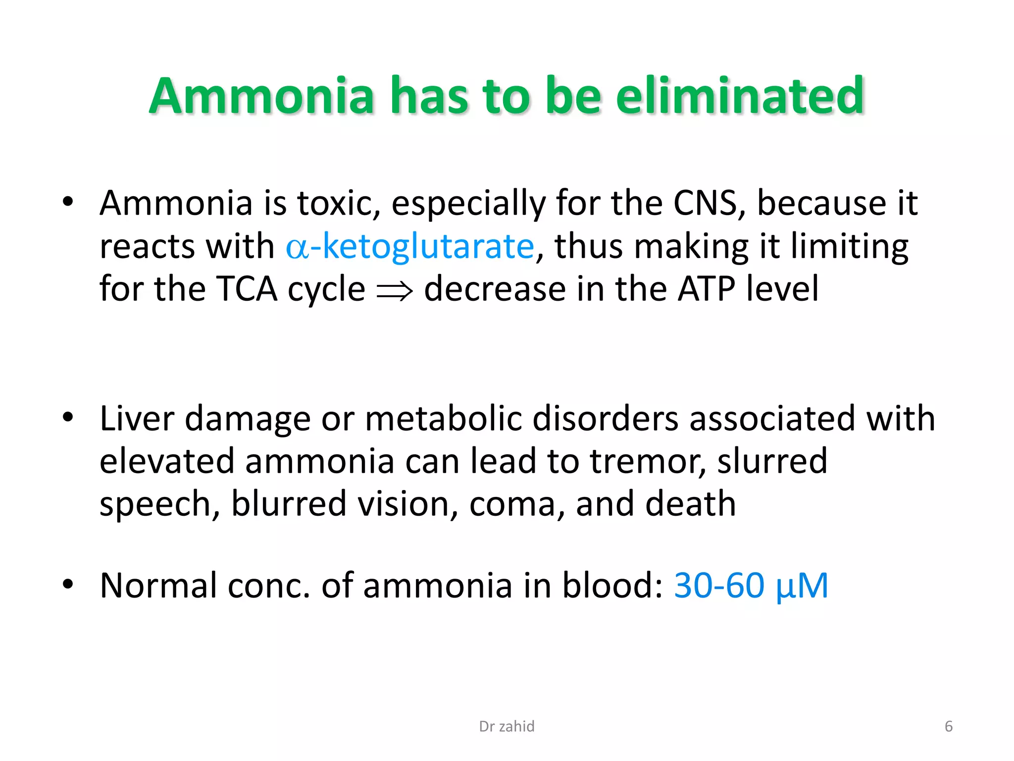 Ammonia has to be eliminated
• Ammonia is toxic, especially for the CNS, because it
reacts with -ketoglutarate, thus making it limiting
for the TCA cycle  decrease in the ATP level
• Liver damage or metabolic disorders associated with
elevated ammonia can lead to tremor, slurred
speech, blurred vision, coma, and death
• Normal conc. of ammonia in blood: 30-60 µM
6Dr zahid
 
