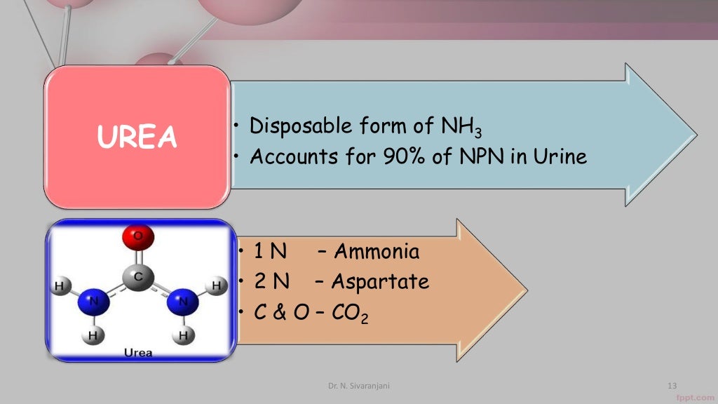 Urea cycle and its disorders