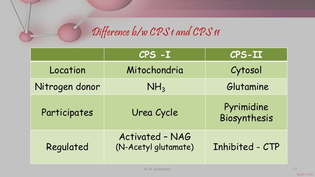 Urea cycle and its disorders