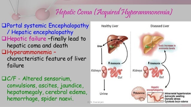 Urea cycle and its disorders