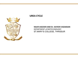 UREA CYCLE
NAUFA BACKER AND Dr. KAYEEN VADAKKAN
DEPARTMENT of BIOTECHNOLOGY
ST.MARY’S COLLEGE, THRISSUR
 