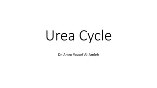 Urea Cycle
Dr. Amro Yousef Al-Amleh
 