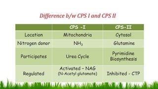 Difference b/w CPS I and CPS II
15
CPS -I CPS-II
Location Mitochondria Cytosol
Nitrogen donor NH3 Glutamine
Participates Urea Cycle
Pyrimidine
Biosynthesis
Regulated
Activated – NAG
(N-Acetyl glutamate) Inhibited - CTP
 