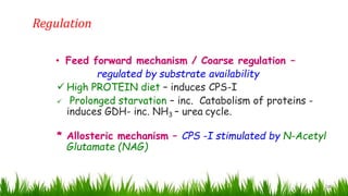 Regulation
18
• Feed forward mechanism / Coarse regulation –
regulated by substrate availability
 High PROTEIN diet – induces CPS-I
 Prolonged starvation – inc. Catabolism of proteins -
induces GDH- inc. NH3 – urea cycle.
* Allosteric mechanism – CPS -I stimulated by N-Acetyl
Glutamate (NAG)
 