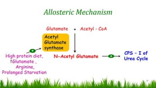 Allosteric Mechanism
19
Acetyl - CoA+
Arginine,
Prolonged Starvation
+
High protein diet,
Glutamate ,
Glutamate
Acetyl
Glutamate
synthase
N-Acetyl Glutamate
CPS – I of
Urea Cycle
+
 