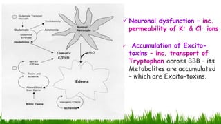  Neuronal dysfunction – inc.
permeability of K+ & Cl- ions
 Accumulation of Excito-
toxins – inc. transport of
Tryptophan across BBB – its
Metabolites are accumulated
– which are Excito-toxins.
8
 