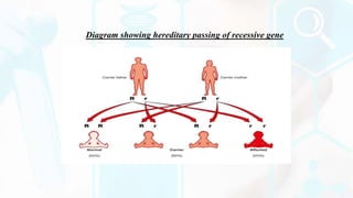 Diagram showing hereditary passing of recessive gene
 