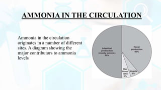 Ammonia in the circulation
originates in a number of different
sites. A diagram showing the
major contributors to ammonia
levels
AMMONIA IN THE CIRCULATION
 