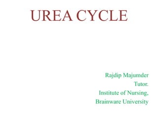 UREA CYCLE
Rajdip Majumder
Tutor.
Institute of Nursing,
Brainware University
 