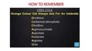 HOW TO REMEMBER
 