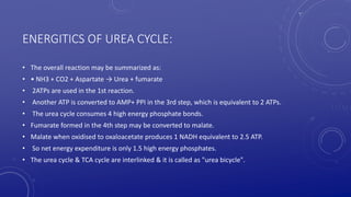 ENERGITICS OF UREA CYCLE:
• The overall reaction may be summarized as:
• • NH3 + CO2 + Aspartate → Urea + fumarate
• 2ATPs are used in the 1st reaction.
• Another ATP is converted to AMP+ PPI in the 3rd step, which is equivalent to 2 ATPs.
• The urea cycle consumes 4 high energy phosphate bonds.
• Fumarate formed in the 4th step may be converted to malate.
• Malate when oxidised to oxaloacetate produces 1 NADH equivalent to 2.5 ATP.
• So net energy expenditure is only 1.5 high energy phosphates.
• The urea cycle & TCA cycle are interlinked & it is called as "urea bicycle".
 