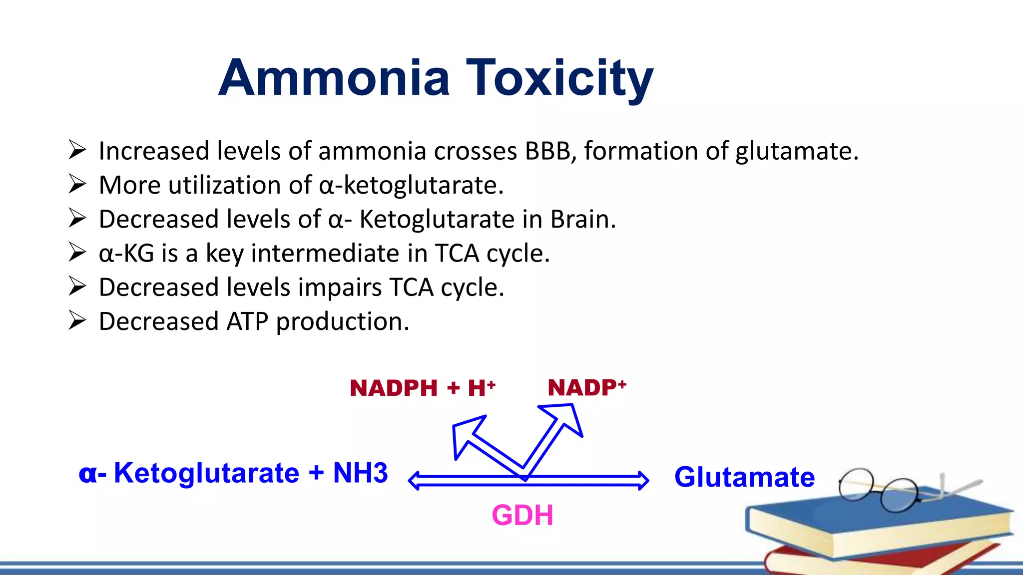  Increased levels of ammonia crosses BBB, formation of glutamate.
 More utilization of α-ketoglutarate.
 Decreased levels of α- Ketoglutarate in Brain.
 α-KG is a key intermediate in TCA cycle.
 Decreased levels impairs TCA cycle.
 Decreased ATP production.
Glutamate
NADPH + H+ NADP+
GDH
α- Ketoglutarate + NH3
Ammonia Toxicity
 