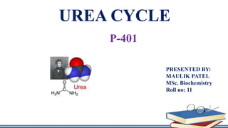 UREA CYCLE
PRESENTED BY:
MAULIK PATEL
MSc. Biochemistry
Roll no: 11
P-401
 
