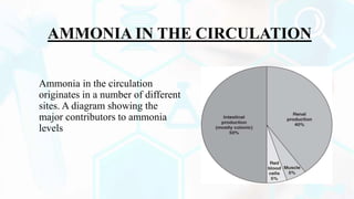 Ammonia in the circulation
originates in a number of different
sites. A diagram showing the
major contributors to ammonia
levels
AMMONIA IN THE CIRCULATION
 