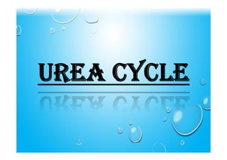 UREA CYCLE
 