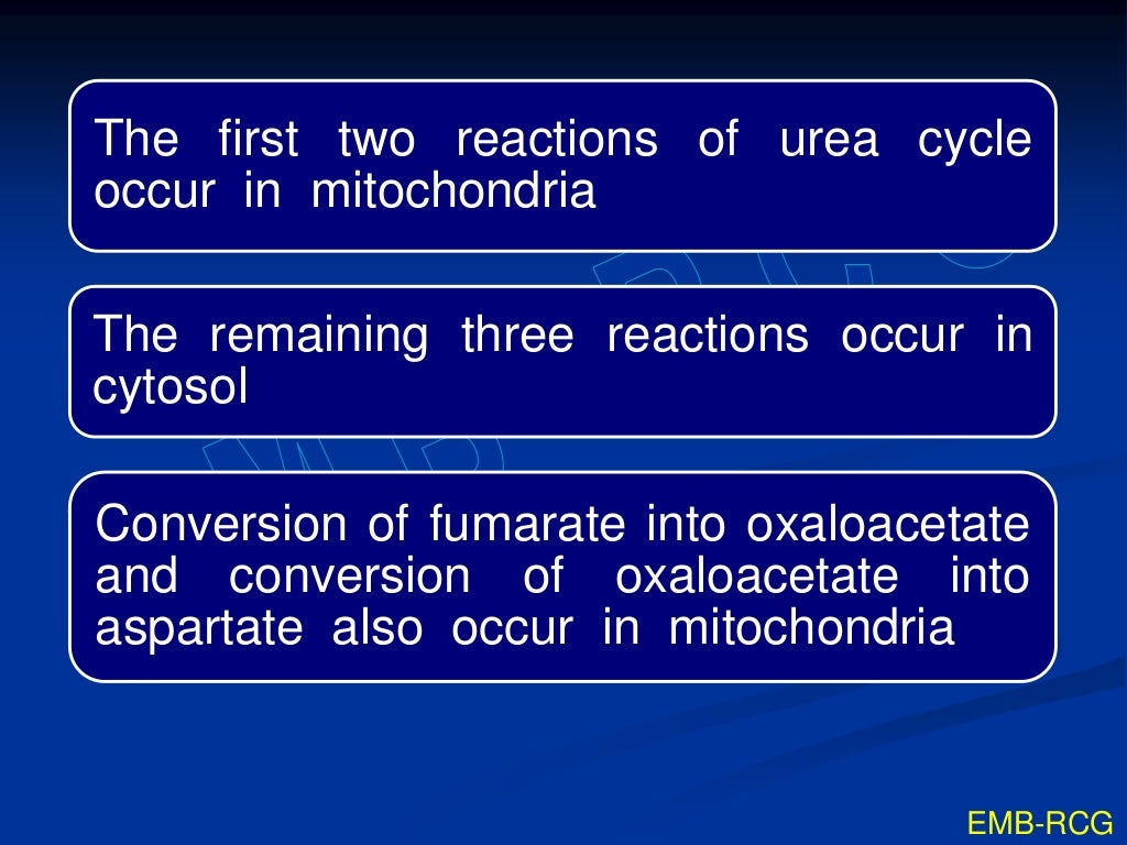 Urea cycle and its disorders