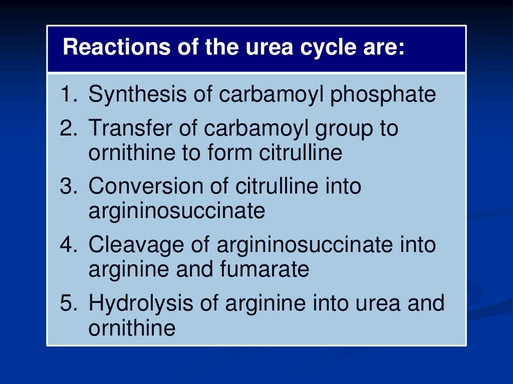 Urea cycle and its disorders