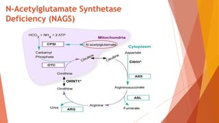 N-Acetylglutamate Synthetase
Deficiency (NAGS)
 