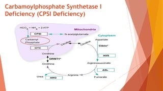 Carbamoylphosphate Synthetase I
Deficiency (CPSI Deficiency)
 