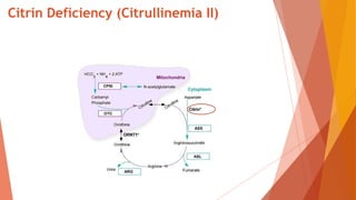 Citrin Deficiency (Citrullinemia II)
 