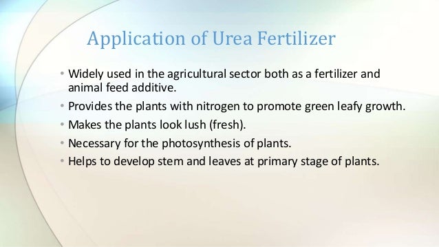 urea uses