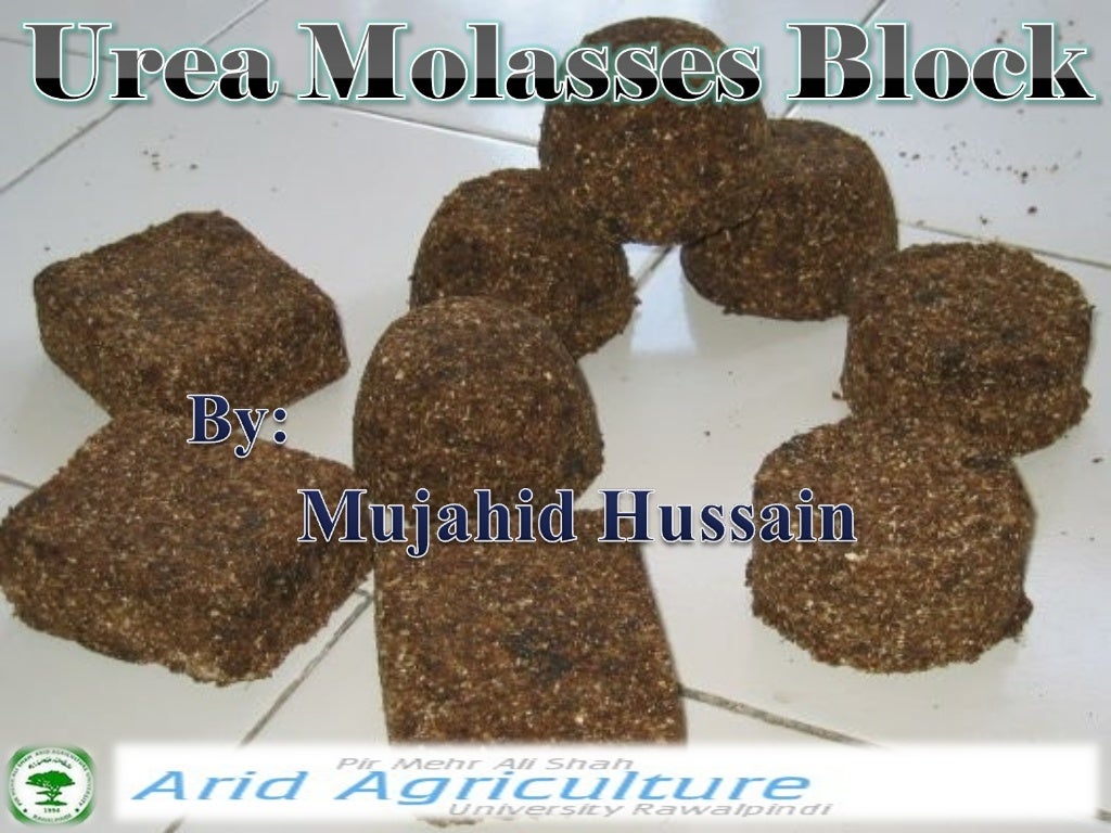 Urea Molasses Block