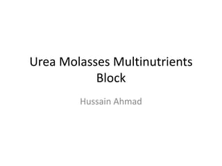 Urea Molasses Multinutrients
Block
Hussain Ahmad
 