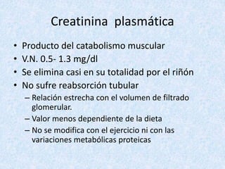 Creatinina plasmática
• Producto del catabolismo muscular
• V.N. 0.5- 1.3 mg/dl
• Se elimina casi en su totalidad por el riñón
• No sufre reabsorción tubular
– Relación estrecha con el volumen de filtrado
glomerular.
– Valor menos dependiente de la dieta
– No se modifica con el ejercicio ni con las
variaciones metabólicas proteicas
 