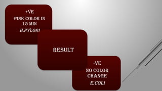 +ve
Pink color in
15 min
H.pylori
-ve
No color
change
E.coli
RESULT
 