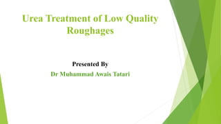 Urea Treatment of Low Quality
Roughages
Presented By
Dr Muhammad Awais Tatari
 