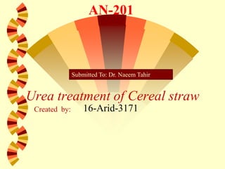 Urea treatment of Cereal straw
16-Arid-3171
composed by ; Touqeer Yazdan 1
Created by:
AN-201
Submitted To: Dr. Naeem Tahir
 
