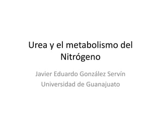 Urea y el metabolismo del
Nitrógeno
Javier Eduardo González Servín
Universidad de Guanajuato
 