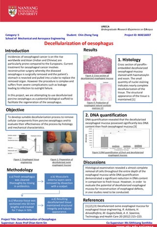 URECA
Undergraduate Research Experience on CAmpus
Category: 5 Student: Chin Zheng Yang Project ID: MAE16037
School of Mechanical and Aerospace Engineering
Project Title: Decellularization of Oesophagus
Supervisor: Assoc Prof Chian Kerm Sin Co-Supervisor: Ms Sitthisang Sonthika
Incidences of oesophageal cancer is on the rise
worldwide and Asian (Indian and Chinese) are
particularly prone compared to the Europeans. Current
treatment for oesophageal cancer involves
reconstructive surgery whereby the diseased
oesophagus is surgically removed and the patient's
stomach is resected and pulled into a tube to replace the
removed organ. However the procedure is complex and
suffers from severe complications such as leakage
leading to infection to outright failure.
In this project, we are attempting to use decellularized
porcine oesophagus as a potential biological scaffold to
facilitate the regeneration of the oesophagus.
Introduction
a.a) fresh oesophagus
was cleaned
thoroughly by rinsing
in antibiotics.
a.b) Muscularis
externa layers were
removed by dissection
with a scalpel.
a.c) Mucosa tissue was
sectioned into 50 mm
lengths and treated
for 7 days in SDS.
a.d) Resulting
decellularized tissue
maintained structural
integrity and tubular
appearance.
To develop suitable decellularization process to remove
cellular components from porcine oesophagus and to
evaluate their effectiveness of the process by histology
and mechanical characteristics.
Objective
Methodology
Results
1. Histology
Cross section of paraffin-
embedded decellularized
oesophageal mucosa
stained with haematoxylin
and eosin. The small
quantity of nuclei staining
indicates nearly complete
decellularization of the
tissue. The structural
appearance of the tissue is
maintained.[1]
2. DNA quantification
DNA quantification revealed that the decellularized
oesophageal mucosa possessed significantly less DNA
content then fresh oesophageal mucosa.[3]
[1],[2],[3] Decellularized ovine esophageal mucosa for
esophageal tissue engineering, R. Ackbara, H.
Ainoedhofera, M. Gugatschkab, A. K. Saxenna,
Technology and Health Care 20 (2012) 215–223.
References
Figure 1: Esophageal tissue
engineering
Figure 2: Preparation of
decellularized ovine
esophageal mucosa
Figure 4: Production of
esophageal natural acellular
matrices [2]
Figure 3: Cross section of
decellularized esophageal mucosa
Decellularization of oesophagus
Figure 5:DNA quantification of fresh and decellularized
esophageal mucosa.
Discussions
Histological examination revealed a almost complete
removal of cells throughout the entire depth of the
esophageal mucosa while DNA quantification
demonstrated a significant reduction in DNA content
in comparison to fresh tissue. However, in order to
evaluate the potential of decellularized esophageal
mucosa for reconstruction of esophageal defects,
in vivo studies need to be conducted.
 