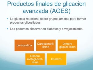 Productos finales de glicacion
avanzada (AGES)
 La glucosa reacciona sobre grupos aminos para formar
productos glicosilados.
 Los podemos observar en diabetes y envejecimiento.
pentosidina
Carboximetil-
lisina
Dimero
glioxal-lisina
Dimero
metilglioxal-
lisina
Imidazol
 