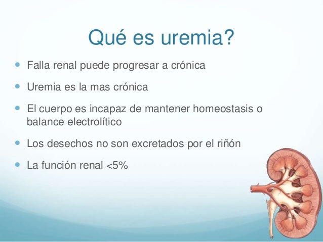 Uremia Uremia