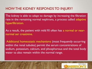 HOW THE KIDNEY RESPONDS TO INJURY?
The kidney is able to adapt to damage by increasing the filtration
rate in the remaining normal nephrons, a process called adaptive
hyperfiltration.
As a result, the patient with mild RI often has a normal or near-
normal ser creatinine.
Additional homeostatic mechanisms (most frequently occurring
within the renal tubules) permit the serum concentrations of
sodium, potassium, calcium, and phosphorous and the total body
water to also remain within the normal range.
 
