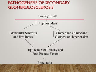 PATHOGENESIS OF SECONDARY
GLOMERULOSCLEROSIS
Nephron Mass
Glomerular Volume and
Glomerular Hypertension
Epithelial Cell Density and
Foot Process Fusion
Glomerular Sclerosis
and Hyalinosis
Primary Insult
Proteinuria
 