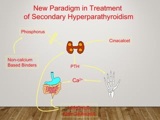 Phosphorus
Ca2+
1,25(OH)2D3
(Use Cautiously)
New Paradigm in Treatment
of Secondary Hyperparathyroidism
Non-calcium
Based Binders
Cinacalcet
PTH
 