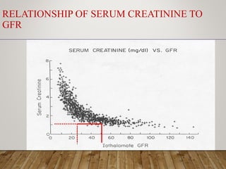 RELATIONSHIP OF SERUM CREATININE TO
GFR
 