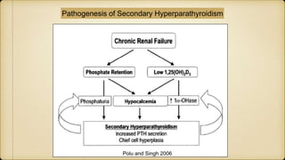 Pathogenesis of Secondary Hyperparathyroidism
 