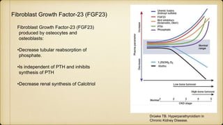 Fibroblast Growth Factor-23 (FGF23)
Fibroblast Growth Factor-23 (FGF23)
produced by osteocytes and
osteoblasts:
•Decrease tubular reabsorption of
phosphate.
•Is independent of PTH and inhibits
synthesis of PTH
•Decrease renal synthesis of Calcitriol
Drüeke TB. Hyperparathyroidism in
Chronic Kidney Disease.
 